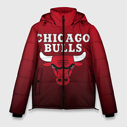 Куртка зимняя мужская CHICAGO BULLS, цвет: 3D-черный