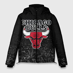 Куртка зимняя мужская CHICAGO BULLS, цвет: 3D-черный