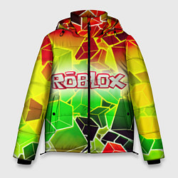 Куртка зимняя мужская Роблокс, цвет: 3D-черный