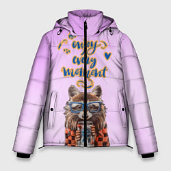 Куртка зимняя мужская Енот, цвет: 3D-светло-серый