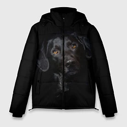 Куртка зимняя мужская Пес, цвет: 3D-черный