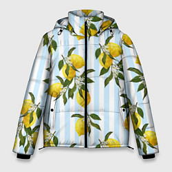 Куртка зимняя мужская Лимоны, цвет: 3D-красный