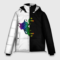 Куртка зимняя мужская Лягуха, цвет: 3D-черный