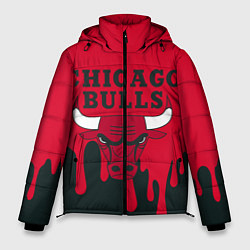Куртка зимняя мужская Chicago Bulls, цвет: 3D-черный