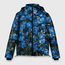 Мужская зимняя куртка Поле синих цветов фиалки лето