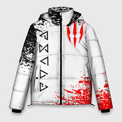 Куртка зимняя мужская THE WITCHER, цвет: 3D-светло-серый