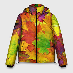 Куртка зимняя мужская Осенние листья, цвет: 3D-черный