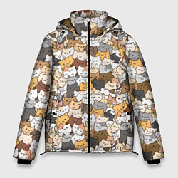 Куртка зимняя мужская Котики муркотики, цвет: 3D-светло-серый