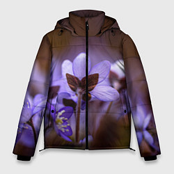 Мужская зимняя куртка Хрупкий цветок фиалка