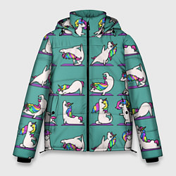 Куртка зимняя мужская Единороги Зарядка, цвет: 3D-светло-серый