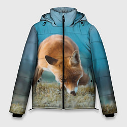 Куртка зимняя мужская Милая лисичка, цвет: 3D-светло-серый