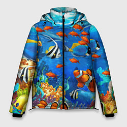 Мужская зимняя куртка Коралловые рыбки