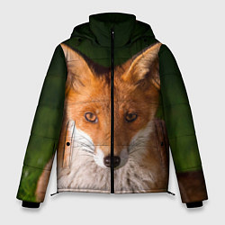 Куртка зимняя мужская Лисица, цвет: 3D-черный