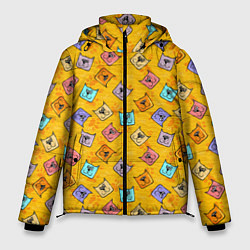 Мужская зимняя куртка Цветные котики и лапки