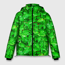 Куртка зимняя мужская Зелёные листья - текстура, цвет: 3D-светло-серый