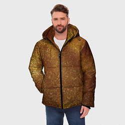 Куртка зимняя мужская Золотая пыль, цвет: 3D-светло-серый — фото 2