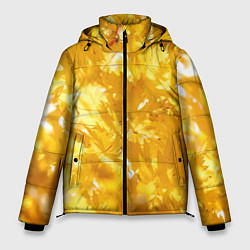 Мужская зимняя куртка Золотые листья на ветках