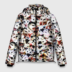 Куртка зимняя мужская Опоссумы, цвет: 3D-черный