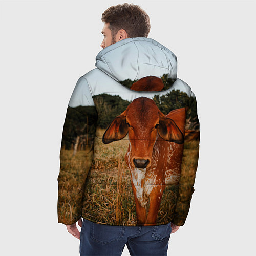 Мужская зимняя куртка Коровка на поле / 3D-Красный – фото 4