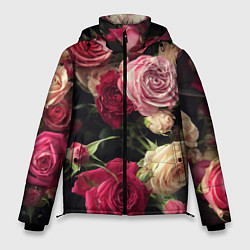 Мужская зимняя куртка Нежные кустовые розы