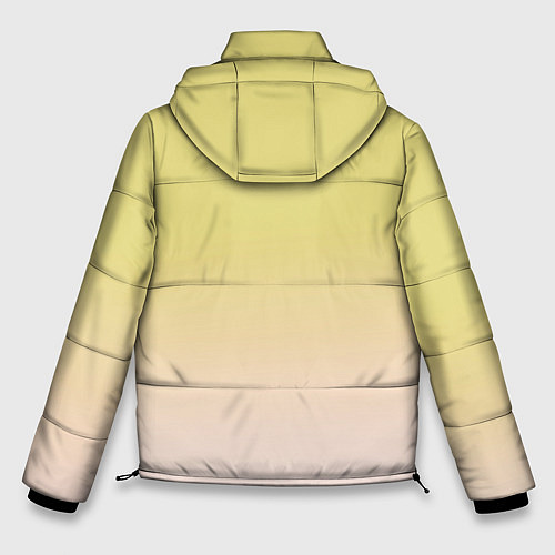 Мужская зимняя куртка Цветовой градиент / 3D-Светло-серый – фото 2
