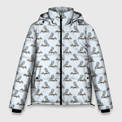 Куртка зимняя мужская Совушки на ветках, цвет: 3D-черный