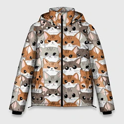 Куртка зимняя мужская Паттерн милые котики, цвет: 3D-светло-серый
