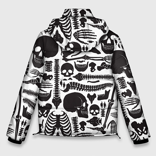 Мужская зимняя куртка Human osteology / 3D-Светло-серый – фото 2