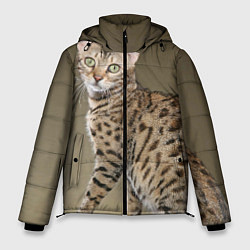 Мужская зимняя куртка Пятнистый котик