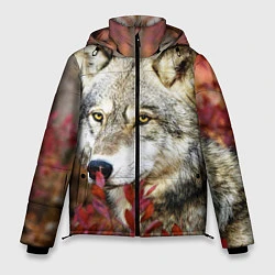 Куртка зимняя мужская Волк в кустах, цвет: 3D-черный