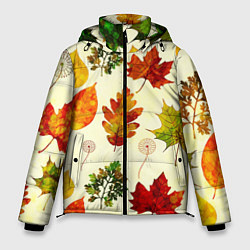 Куртка зимняя мужская Осень, цвет: 3D-светло-серый