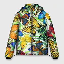 Мужская зимняя куртка Тропические бабочки