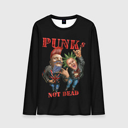 Мужской лонгслив Punks Not Dead - панки хой