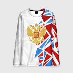 Мужской лонгслив Герб России - фрагментация цветов