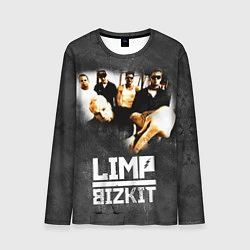 Лонгслив мужской Limp Bizkit: Rock in to you, цвет: 3D-принт