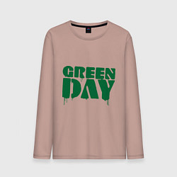 Мужской лонгслив Green Day