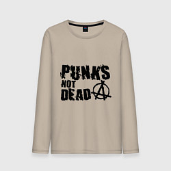 Мужской лонгслив Punks not dead