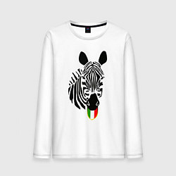 Мужской лонгслив Juventus Zebra