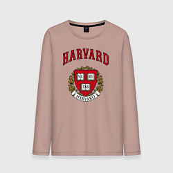 Мужской лонгслив Harvard university