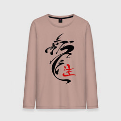 Мужской лонгслив Иероглиф дракон