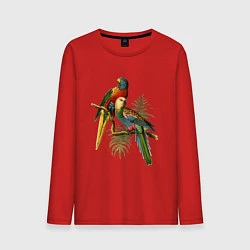 Лонгслив хлопковый мужской Тропические попугаи, цвет: красный
