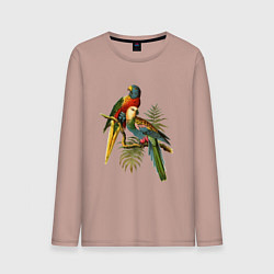 Мужской лонгслив Тропические попугаи