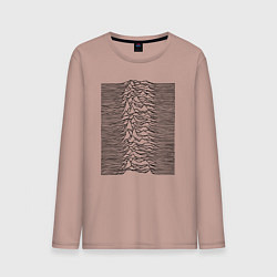 Мужской лонгслив Unknown Pleasures