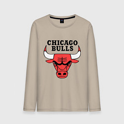 Лонгслив хлопковый мужской Chicago Bulls, цвет: миндальный