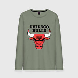 Лонгслив хлопковый мужской Chicago Bulls, цвет: авокадо