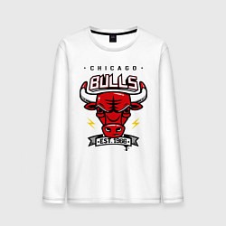 Мужской лонгслив Chicago Bulls est. 1966