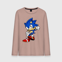 Лонгслив хлопковый мужской SONIC, цвет: пыльно-розовый