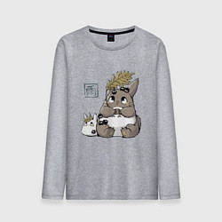 Лонгслив хлопковый мужской Тоторо, цвет: меланж