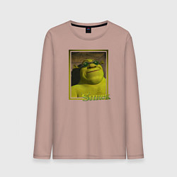 Лонгслив хлопковый мужской Шрек в очках, цвет: пыльно-розовый