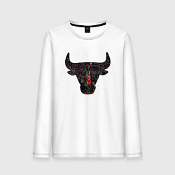 Мужской лонгслив Bulls - Jordan